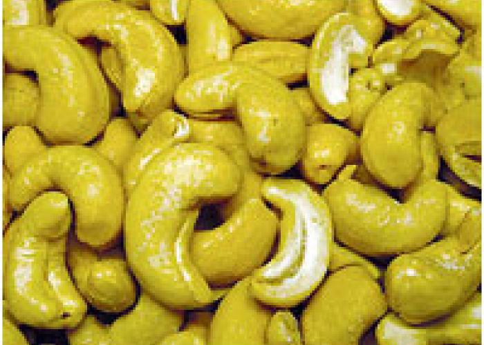 Media 5736