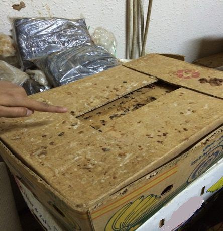 Media 2840